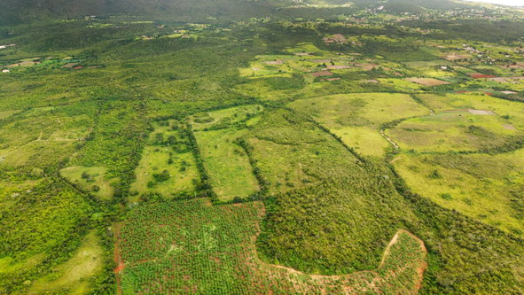 Fourth image of Claremont Park St. Elizab in Claremont Park, St. Elizabeth, Jamaica - property is For Sale