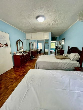 Twentieth image of 2- Palm Valley, Fort George in Kingston 9, St. Andrew, Jamaica - property is For Sale
