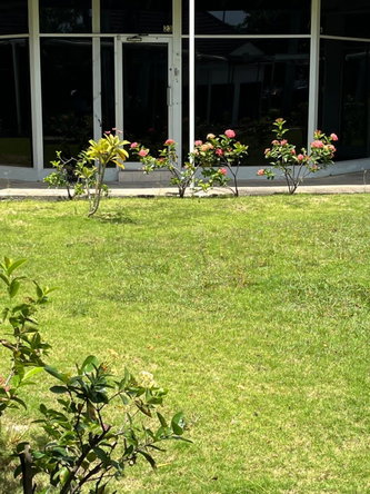 Third image of Shop-23 Montego Freeport Shopping in Montego Bay, St. James, Jamaica - property is For Rent