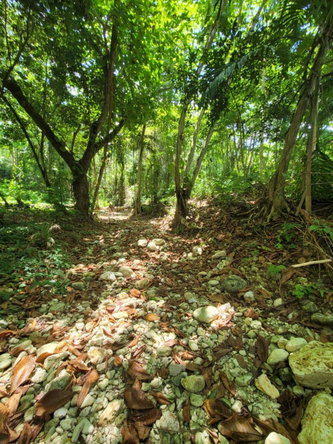 First image of Lot 66 Rose Hill St. Ann in Runaway Bay, St. Ann, Jamaica - property is For Sale