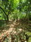 First image of Lot 66 Rose Hill St. Ann in Runaway Bay, St. Ann, Jamaica - property is For Sale