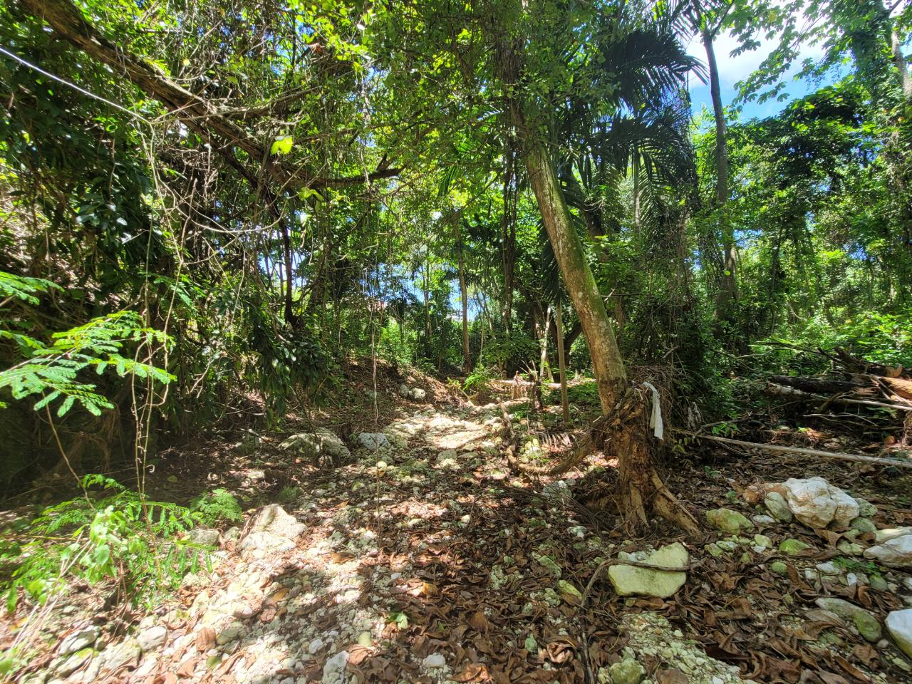 Twelfth image of Lot 66 Rose Hill St. Ann in Runaway Bay, St. Ann, Jamaica - property is For Sale