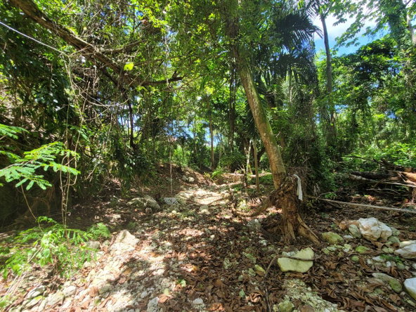 Twelfth image of Lot 66 Rose Hill St. Ann in Runaway Bay, St. Ann, Jamaica - property is For Sale