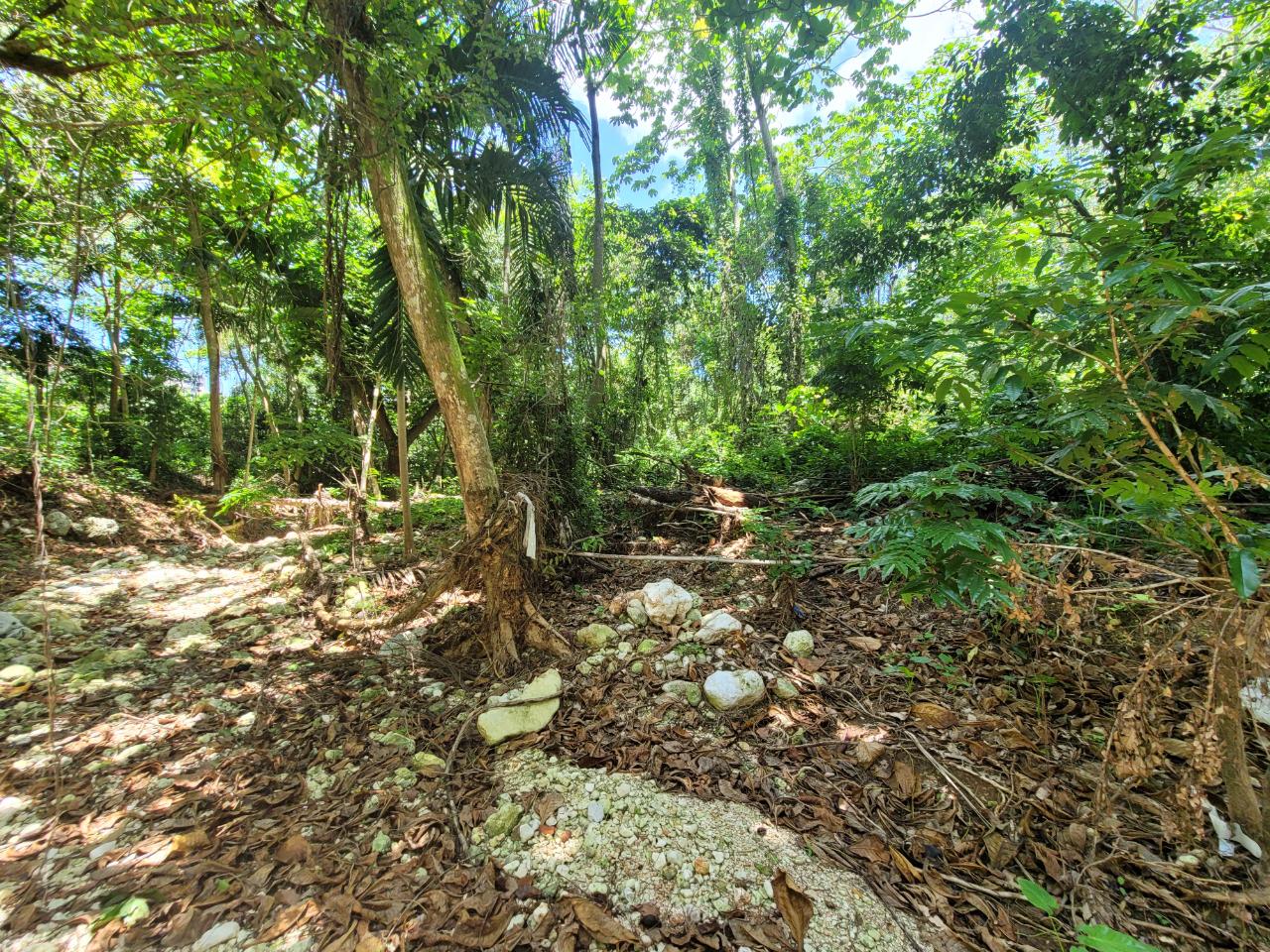Thirteenth image of Lot 66 Rose Hill St. Ann in Runaway Bay, St. Ann, Jamaica - property is For Sale