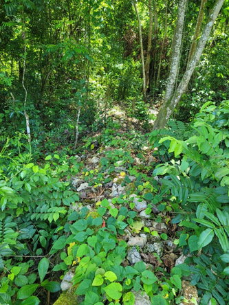 Fifteenth image of Lot 66 Rose Hill St. Ann in Runaway Bay, St. Ann, Jamaica - property is For Sale