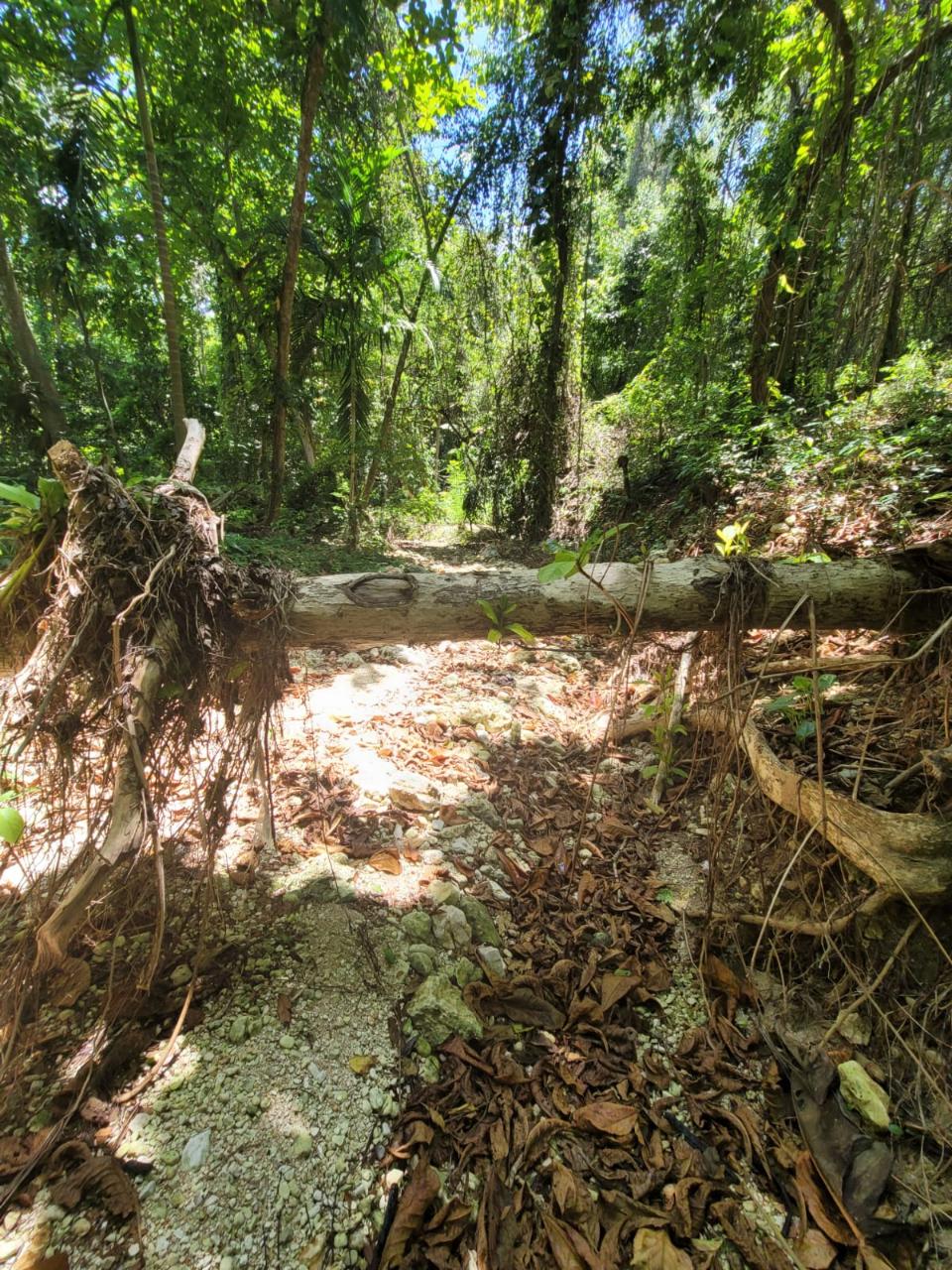 Seventeenth image of Lot 66 Rose Hill St. Ann in Runaway Bay, St. Ann, Jamaica - property is For Sale