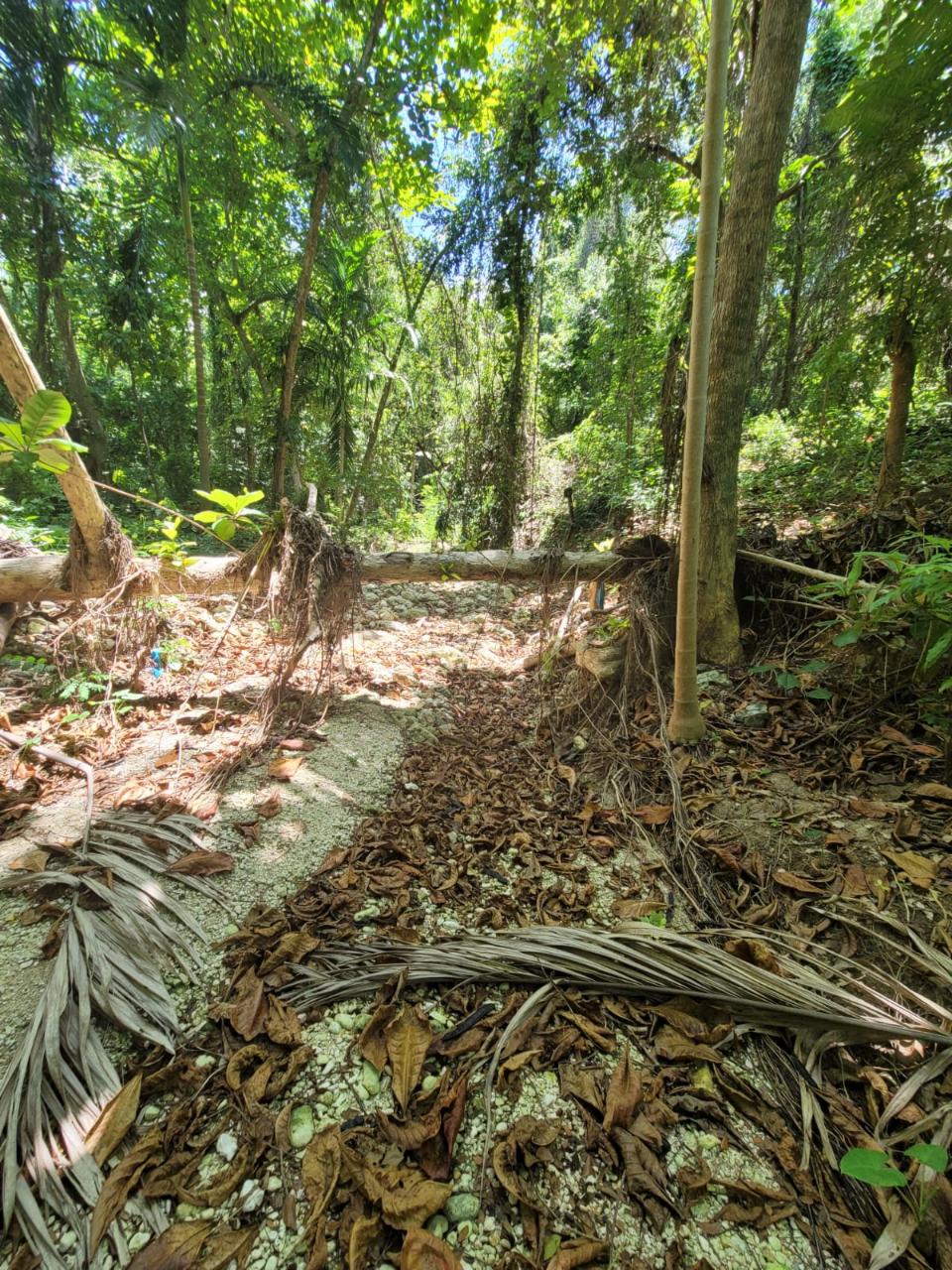 Eighteenth image of Lot 66 Rose Hill St. Ann in Runaway Bay, St. Ann, Jamaica - property is For Sale