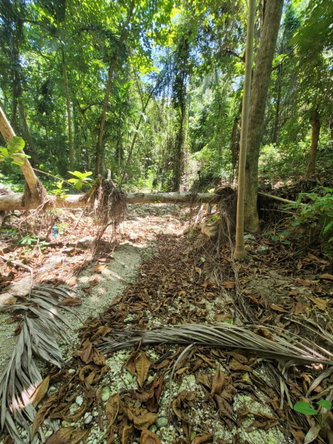 Eighteenth image of Lot 66 Rose Hill St. Ann in Runaway Bay, St. Ann, Jamaica - property is For Sale