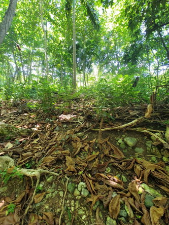 Nineteenth image of Lot 66 Rose Hill St. Ann in Runaway Bay, St. Ann, Jamaica - property is For Sale