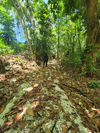 Twentieth image of Lot 66 Rose Hill St. Ann in Runaway Bay, St. Ann, Jamaica - property is For Sale