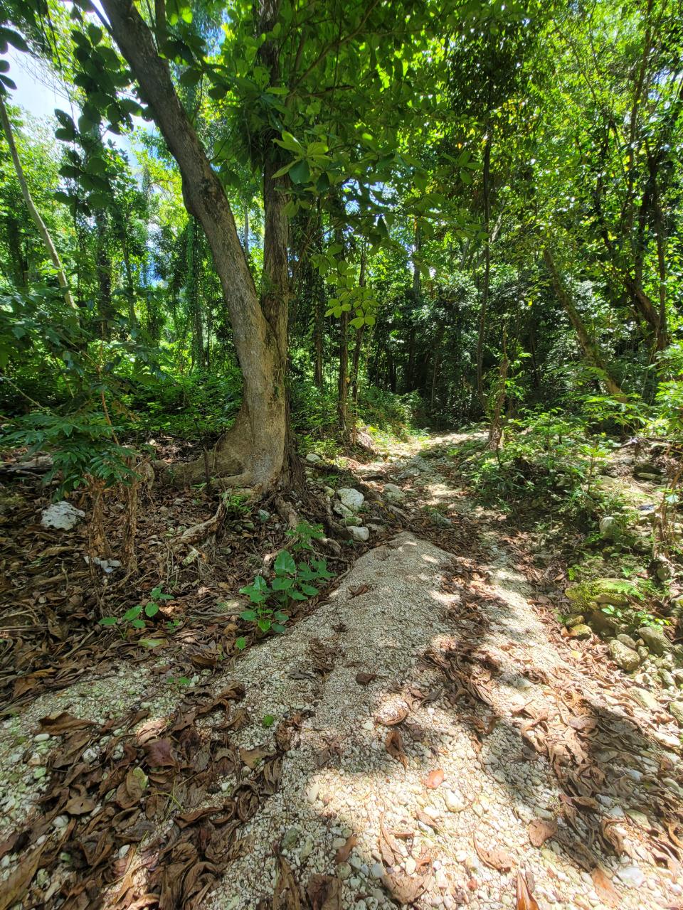 Fifth image of Lot 66 Rose Hill St. Ann in Runaway Bay, St. Ann, Jamaica - property is For Sale