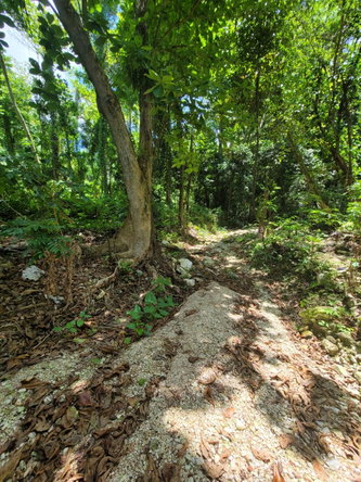 Fifth image of Lot 66 Rose Hill St. Ann in Runaway Bay, St. Ann, Jamaica - property is For Sale