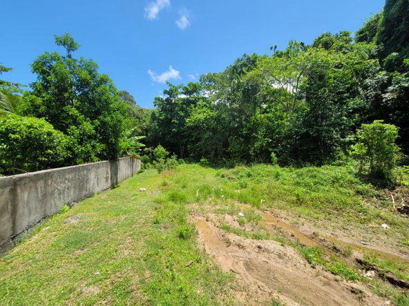 Sixth image of Lot 66 Rose Hill St. Ann in Runaway Bay, St. Ann, Jamaica - property is For Sale