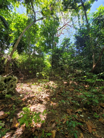 Ninth image of Lot 66 Rose Hill St. Ann in Runaway Bay, St. Ann, Jamaica - property is For Sale