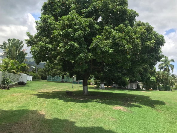 Sixth image of 205- Olivier Place in Kingston 8, St. Andrew, Jamaica - property is For Rent