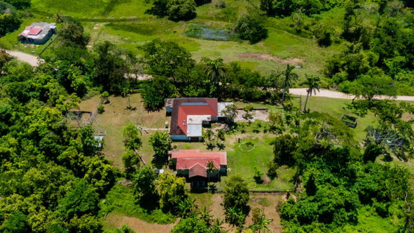 Fifteenth image of 139a Haughton Court in Haughton Court, Hanover, Jamaica - property is For Sale