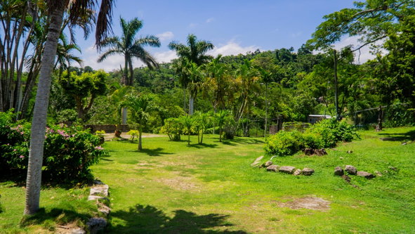 Fourth image of 139a Haughton Court in Haughton Court, Hanover, Jamaica - property is For Sale