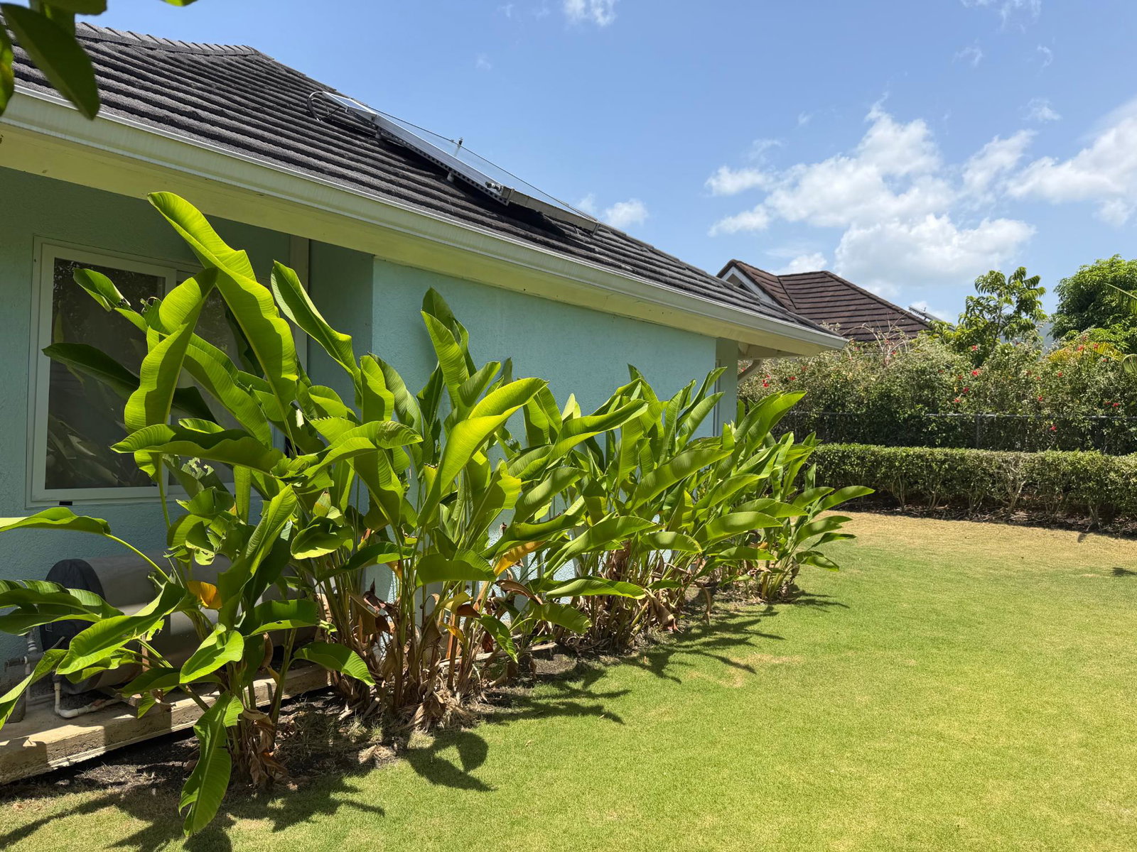 Twenty-Second image of Lot 320-guava Ave The Palms Richmond St. a in Richmond, St. Ann, Jamaica - property is For Sale