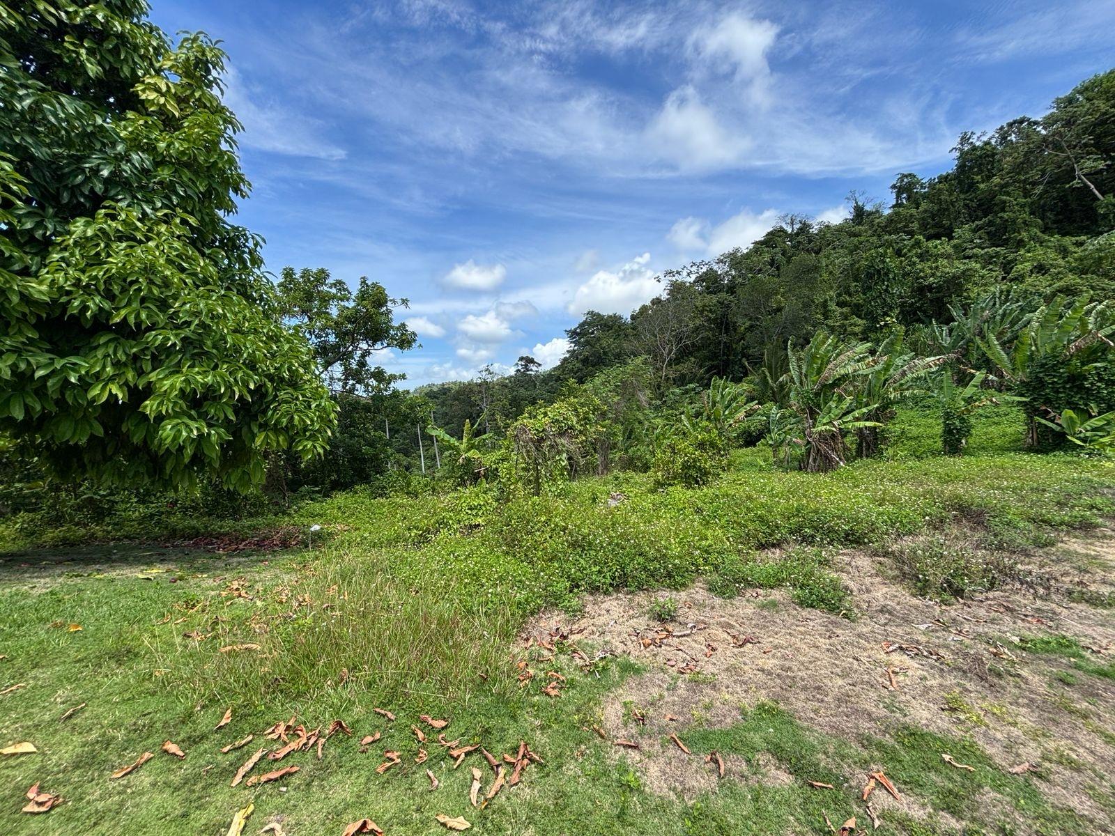 Eleventh image of Passley Gardens in Port Antonio, Portland, Jamaica - property is For Sale
