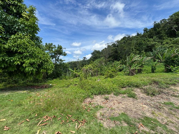 Eleventh image of Passley Gardens in Port Antonio, Portland, Jamaica - property is For Sale