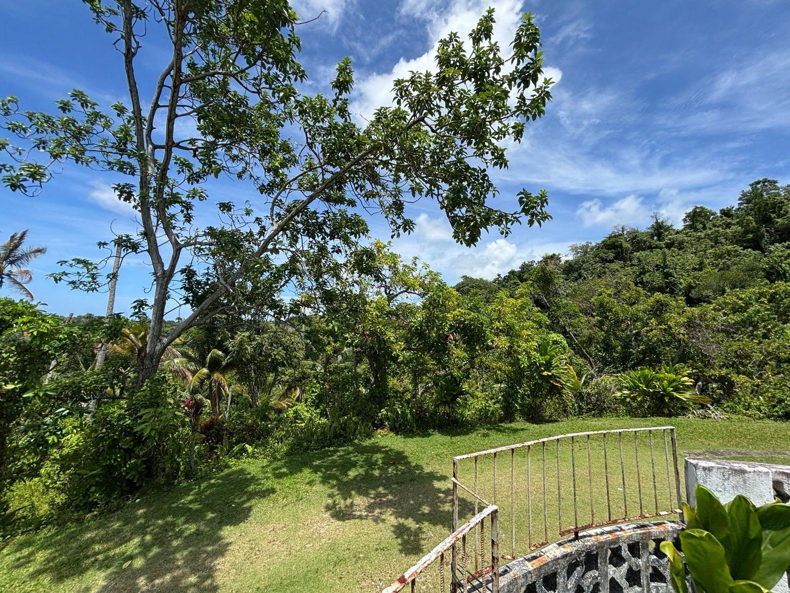 Twelfth image of Passley Gardens in Port Antonio, Portland, Jamaica - property is For Sale