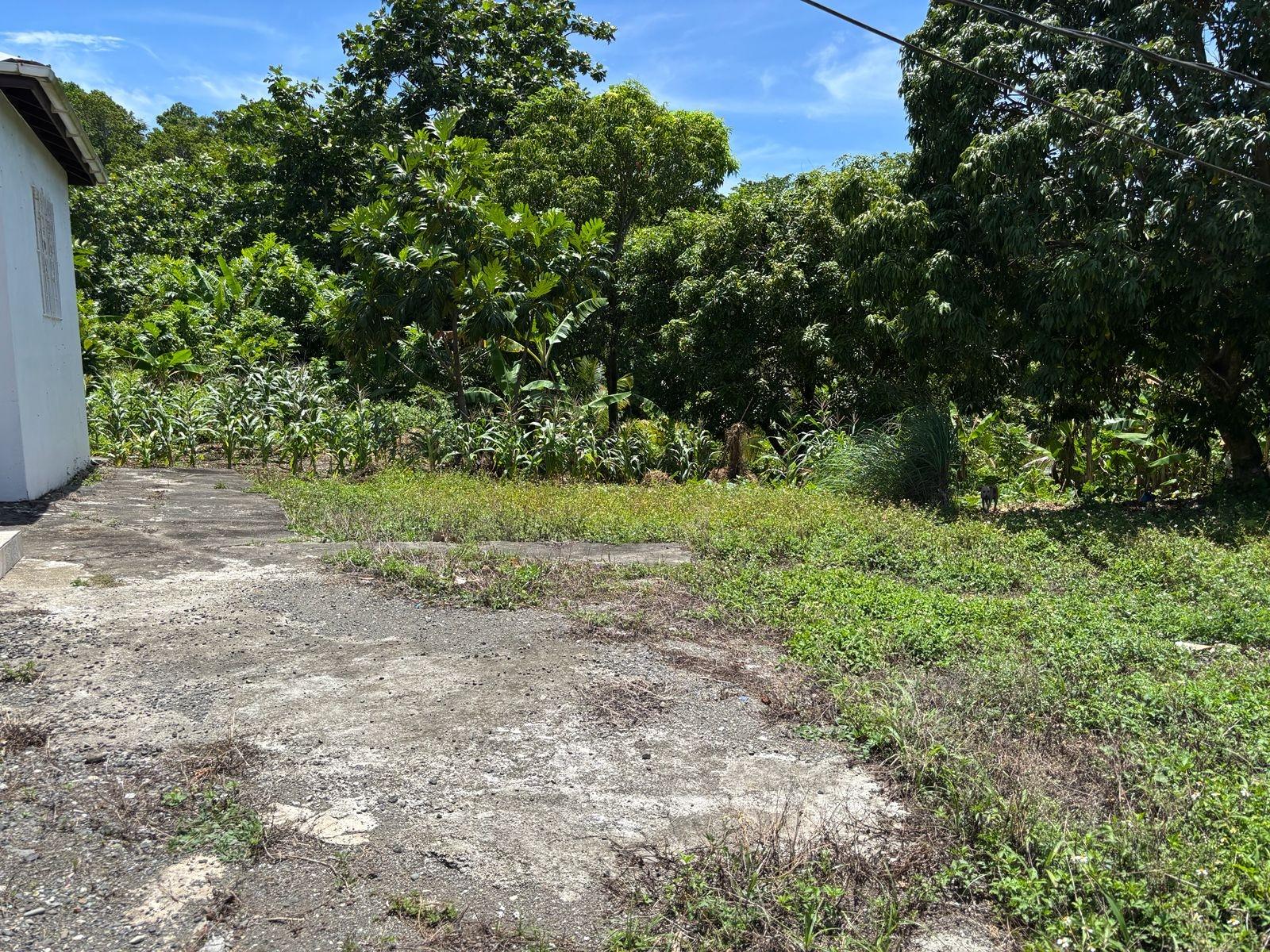 Seventeenth image of Passley Gardens in Port Antonio, Portland, Jamaica - property is For Sale