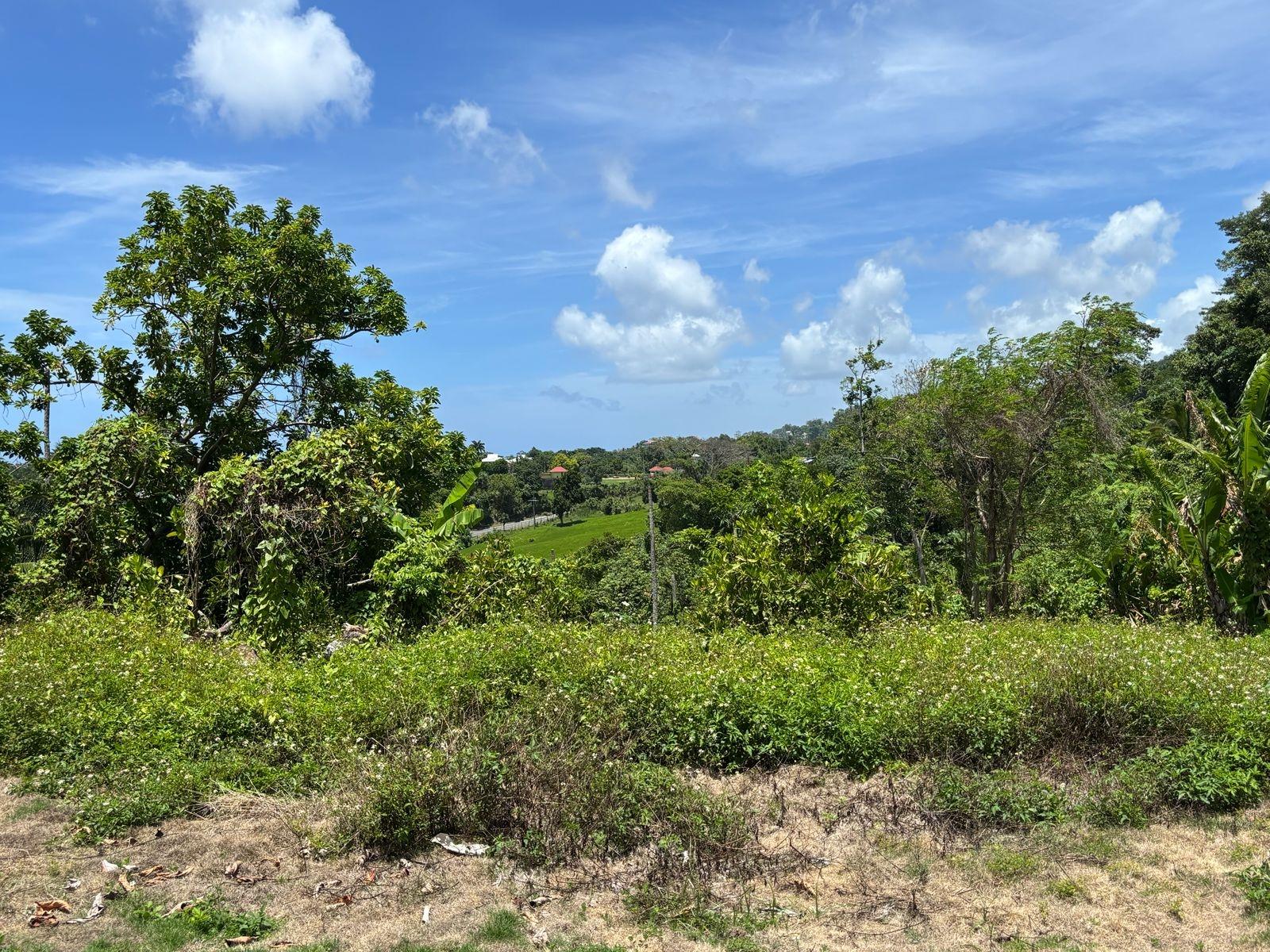 Eighteenth image of Passley Gardens in Port Antonio, Portland, Jamaica - property is For Sale