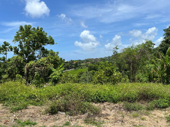 Eighteenth image of Passley Gardens in Port Antonio, Portland, Jamaica - property is For Sale