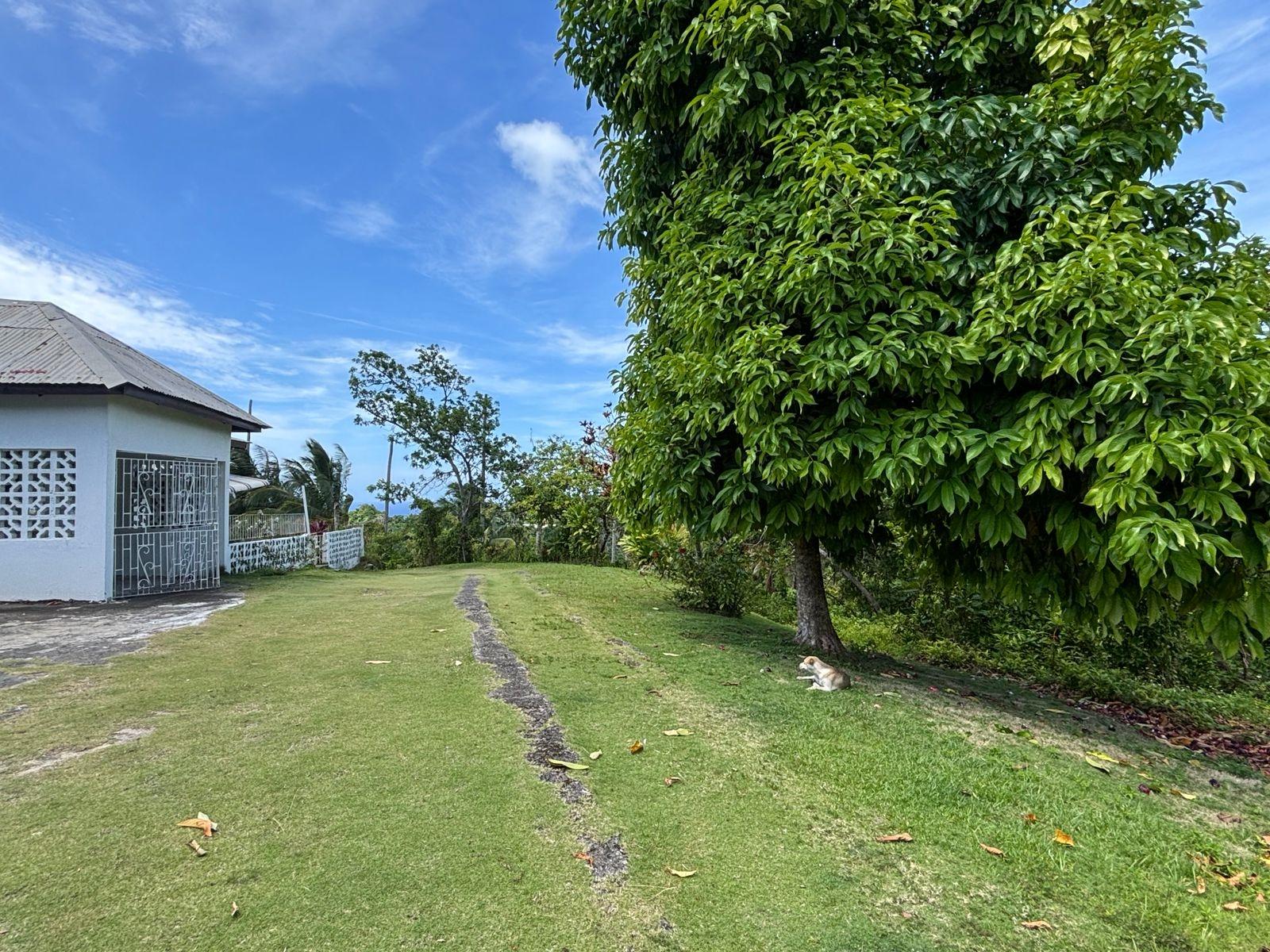 Second image of Passley Gardens in Port Antonio, Portland, Jamaica - property is For Sale
