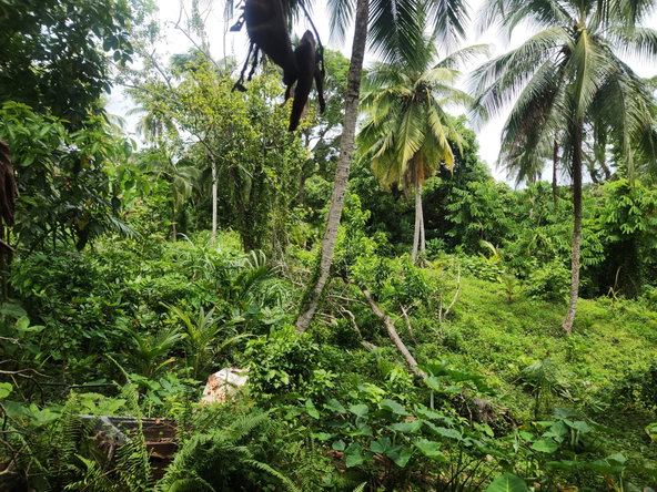 Thirteenth image of Lot 35 Brimmer Hall, Port Maria in Port Maria, St. Mary, Jamaica - property is For Sale
