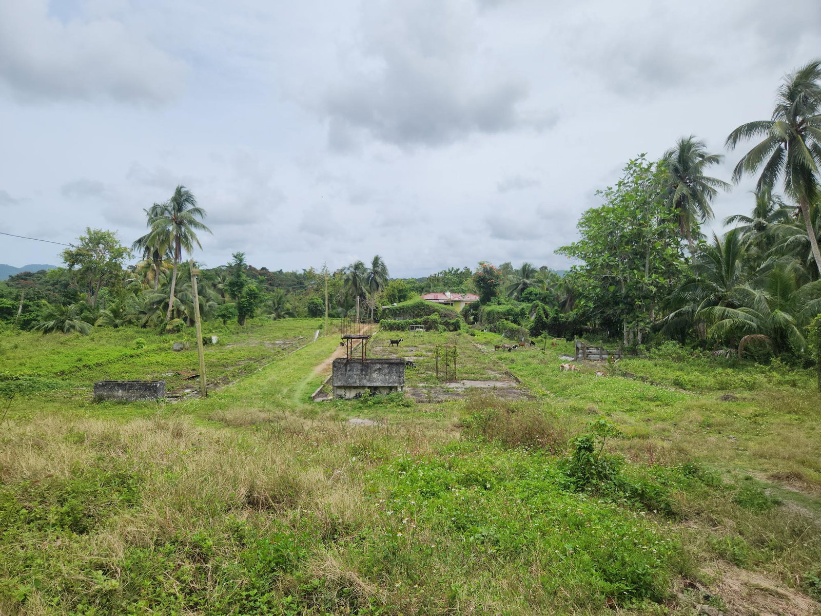 Seventh image of Lot 35 Brimmer Hall, Port Maria in Port Maria, St. Mary, Jamaica - property is For Sale