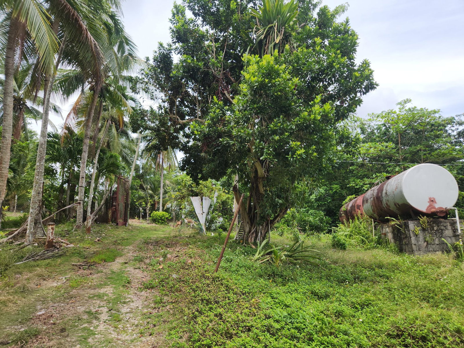 Eighth image of Lot 35 Brimmer Hall, Port Maria in Port Maria, St. Mary, Jamaica - property is For Sale