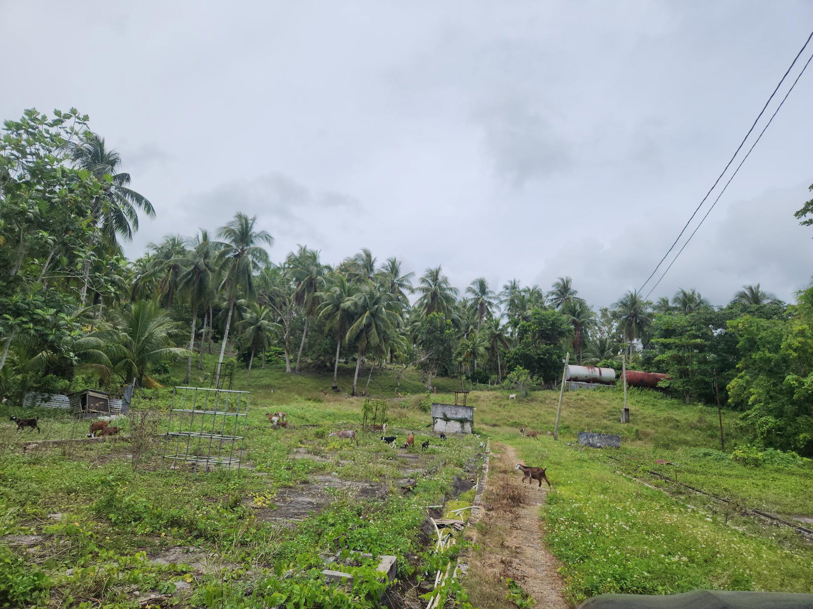 Ninth image of Lot 35 Brimmer Hall, Port Maria in Port Maria, St. Mary, Jamaica - property is For Sale