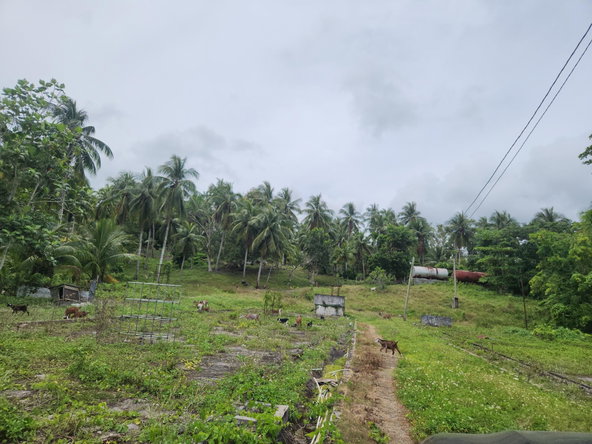 Ninth image of Lot 35 Brimmer Hall, Port Maria in Port Maria, St. Mary, Jamaica - property is For Sale
