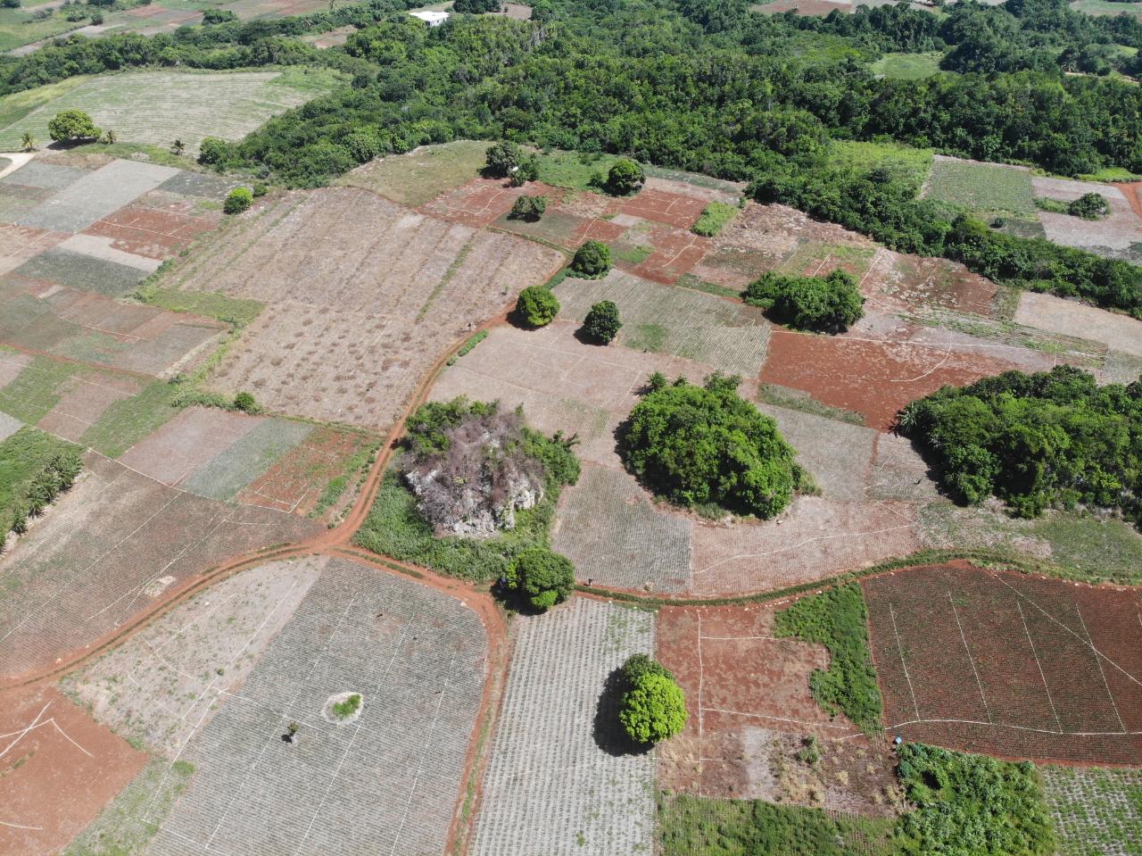 Second image of Rowes Corner , Manchester in Rowes Corner, Manchester, Jamaica - property is For Sale