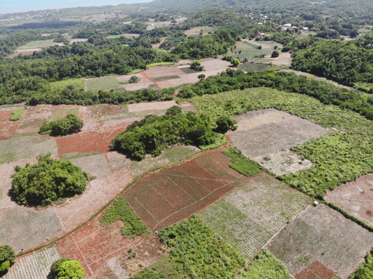 Third image of Rowes Corner , Manchester in Rowes Corner, Manchester, Jamaica - property is For Sale