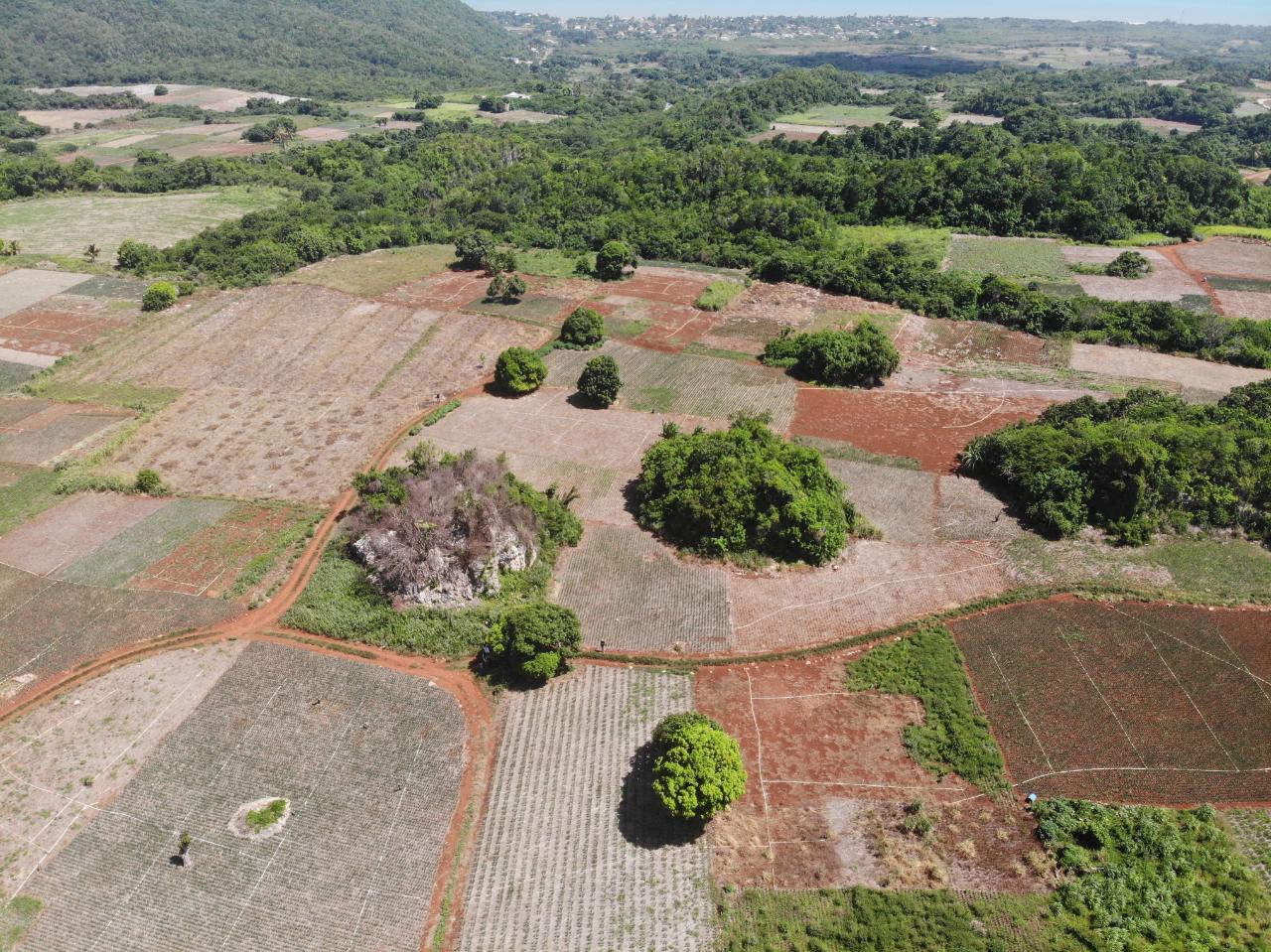 Fourth image of Rowes Corner , Manchester in Rowes Corner, Manchester, Jamaica - property is For Sale
