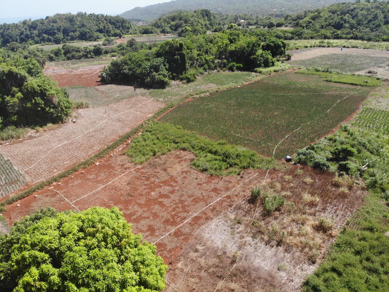 Fifth image of Rowes Corner , Manchester in Rowes Corner, Manchester, Jamaica - property is For Sale