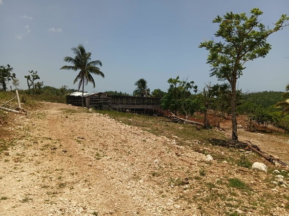 Tenth image of Lot 13- Knapdale, St. Ann in Knapdale, St. Ann, Jamaica - property is For Sale