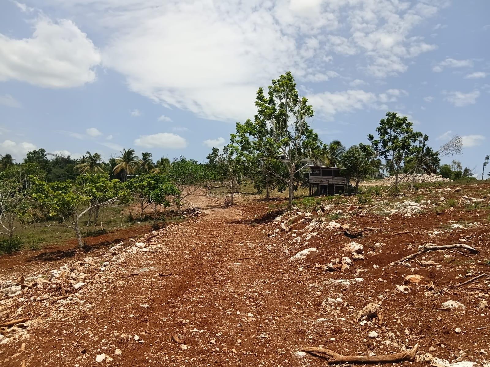 Eleventh image of Lot 13- Knapdale, St. Ann in Knapdale, St. Ann, Jamaica - property is For Sale