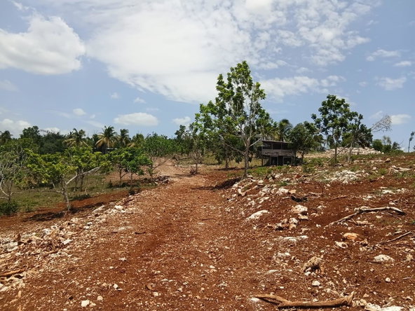 Eleventh image of Lot 13- Knapdale, St. Ann in Knapdale, St. Ann, Jamaica - property is For Sale
