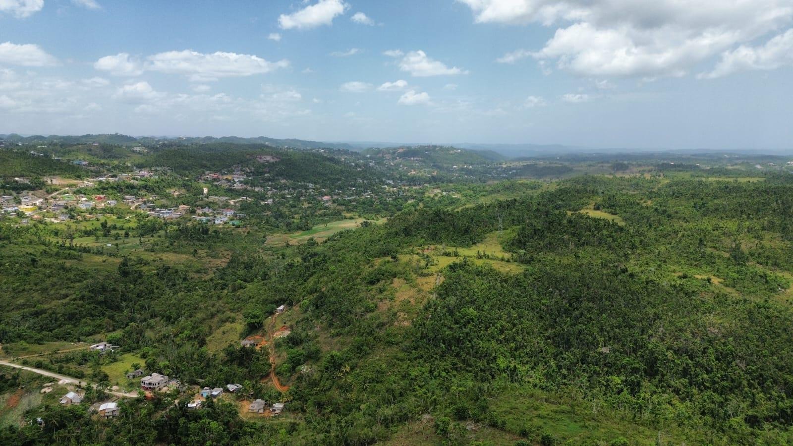 Twelfth image of Lot 13- Knapdale, St. Ann in Knapdale, St. Ann, Jamaica - property is For Sale