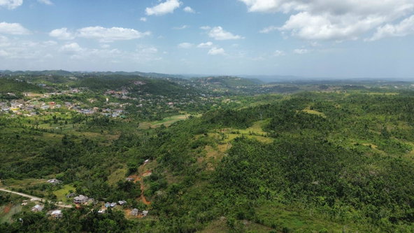 Twelfth image of Lot 13- Knapdale, St. Ann in Knapdale, St. Ann, Jamaica - property is For Sale