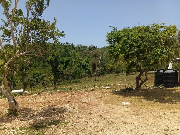 Eighth image of Lot 13- Knapdale, St. Ann in Knapdale, St. Ann, Jamaica - property is For Sale
