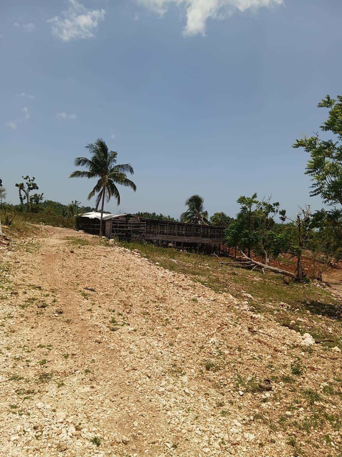Ninth image of Lot 13- Knapdale, St. Ann in Knapdale, St. Ann, Jamaica - property is For Sale