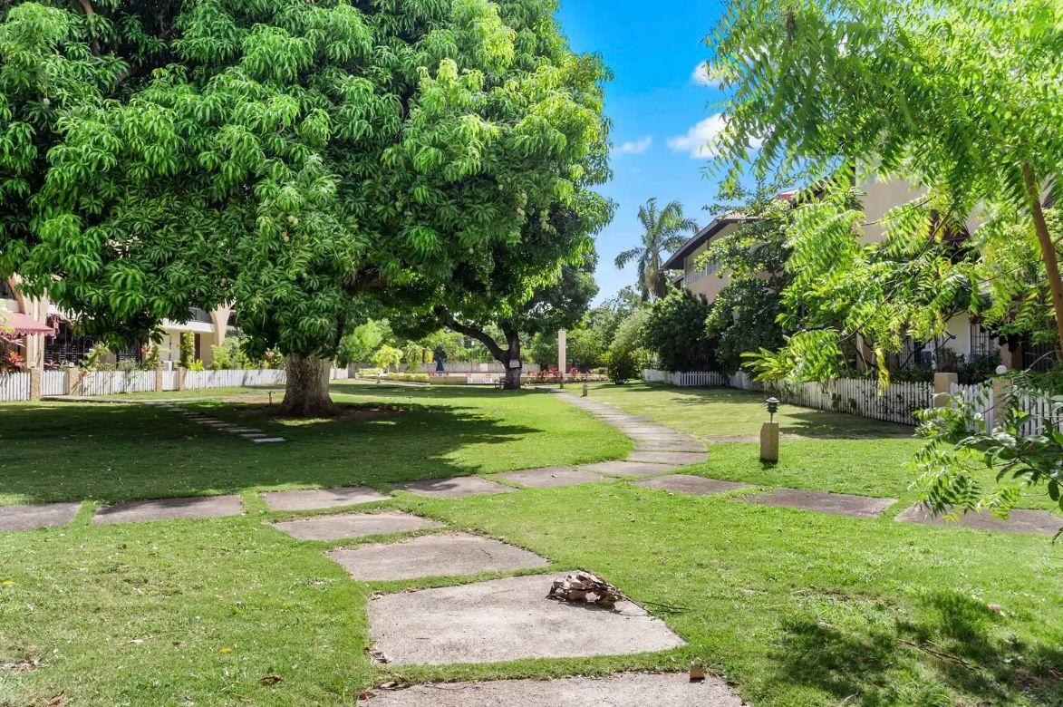 Second image of 25-60 Hope Road in Kingston 6, St. Andrew, Jamaica - property is For Rent