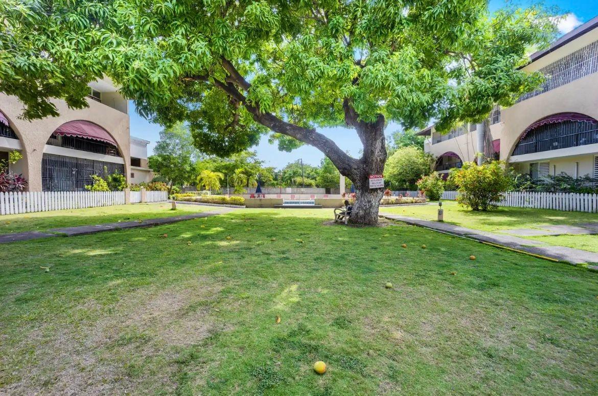 Twentieth image of 25-60 Hope Road in Kingston 6, St. Andrew, Jamaica - property is For Rent