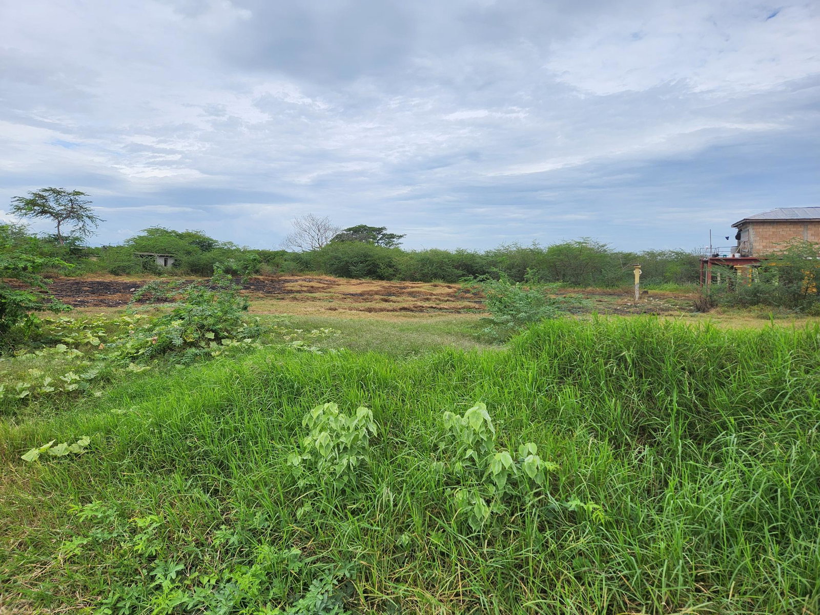 First image of Lot 62 Bushy Park in Bushy Park, St. Catherine, Jamaica - property is For Sale