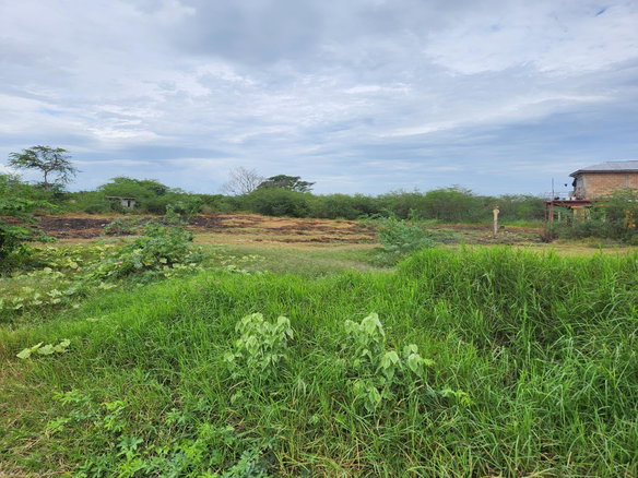First image of Lot 62 Bushy Park in Bushy Park, St. Catherine, Jamaica - property is For Sale