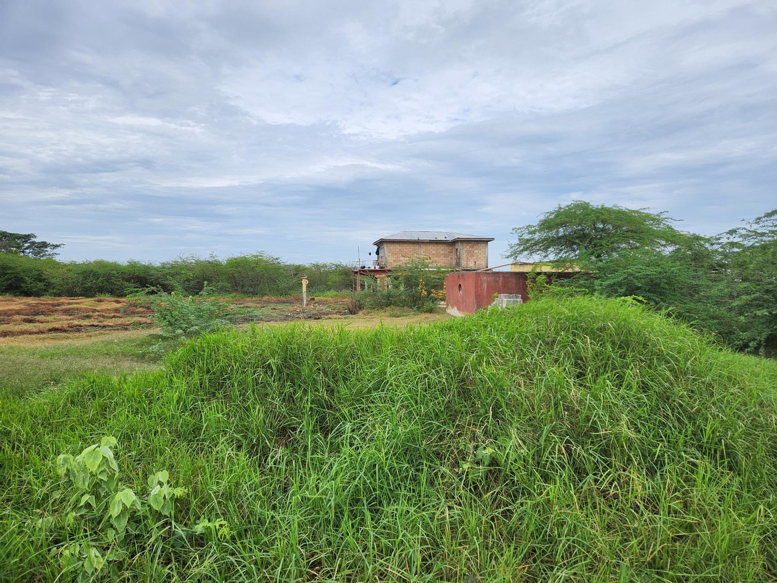 Second image of Lot 62 Bushy Park in Bushy Park, St. Catherine, Jamaica - property is For Sale